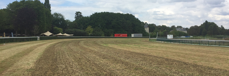 Gazons sportifs - Carottage hippodrome Longchamp