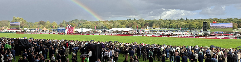 Drainage de sols - Hippodrome de Longchamp